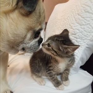 Meet your Posher, Ava